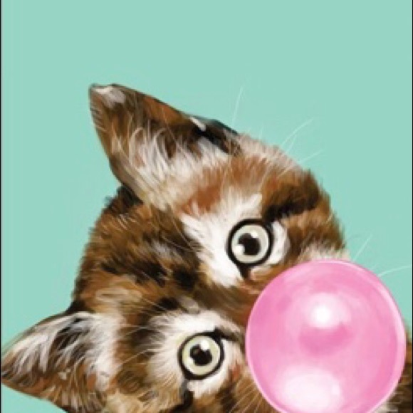 Fashion - Picture 1 of 1